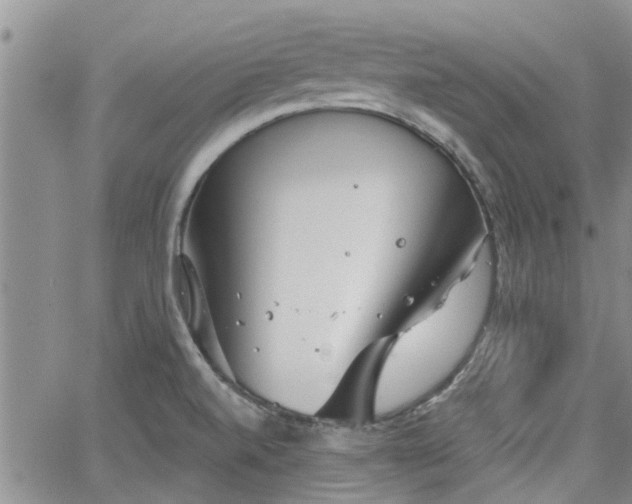 X0000063481520200601231334