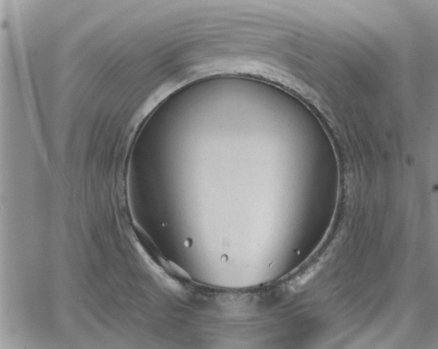 X0000063481521200601231334