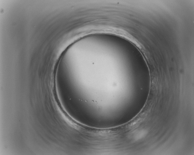 X0000063481523200601231334