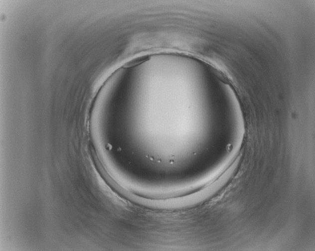 X0000063481524200601231334