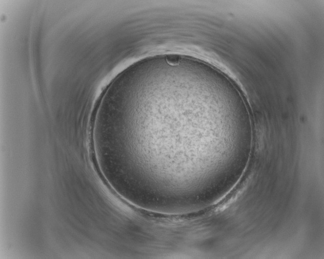 X0000063481525200601231334