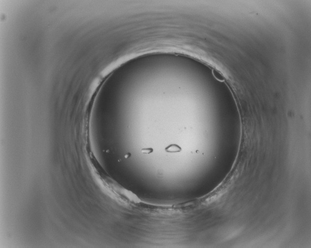 X0000063481526200601231334