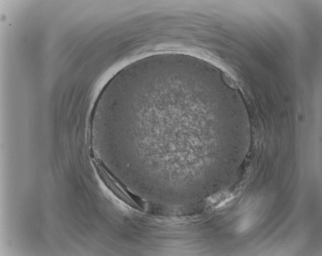 X0000063481527200601231334