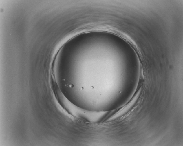 X0000063481528200601231334