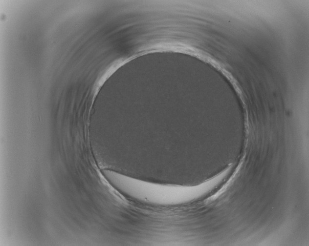 X0000063481529200601231334