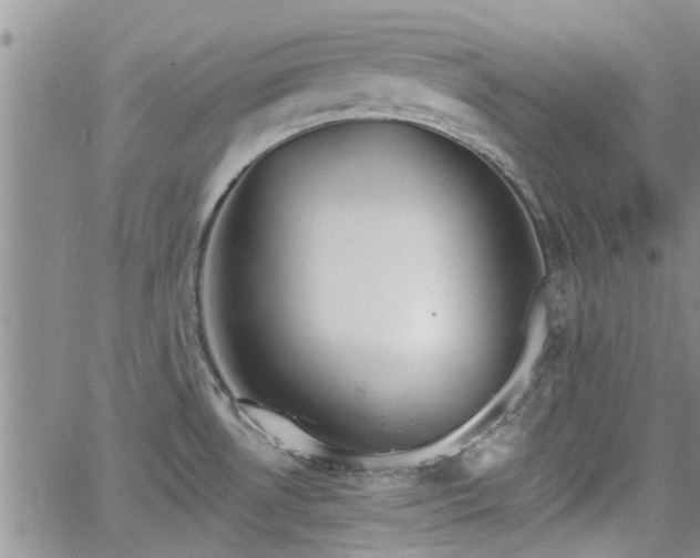 X0000063481530200601231334