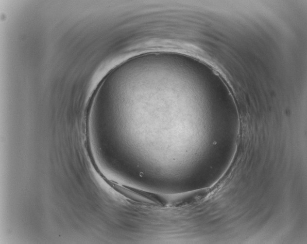 X0000063481531200601231334