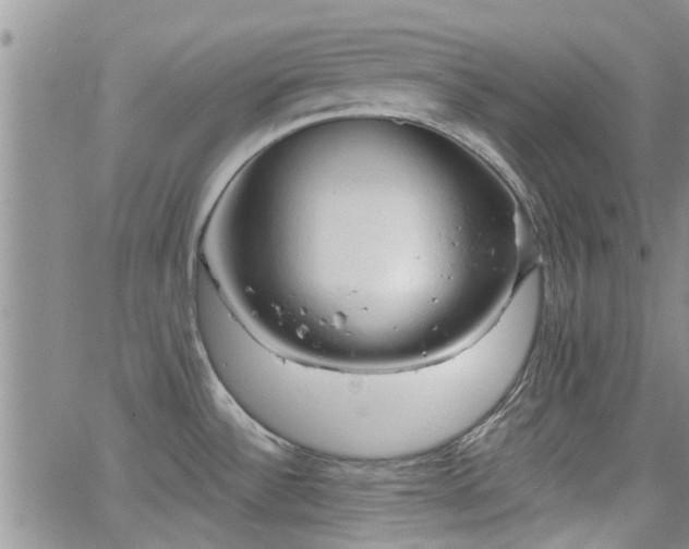 X0000063481532200601231334