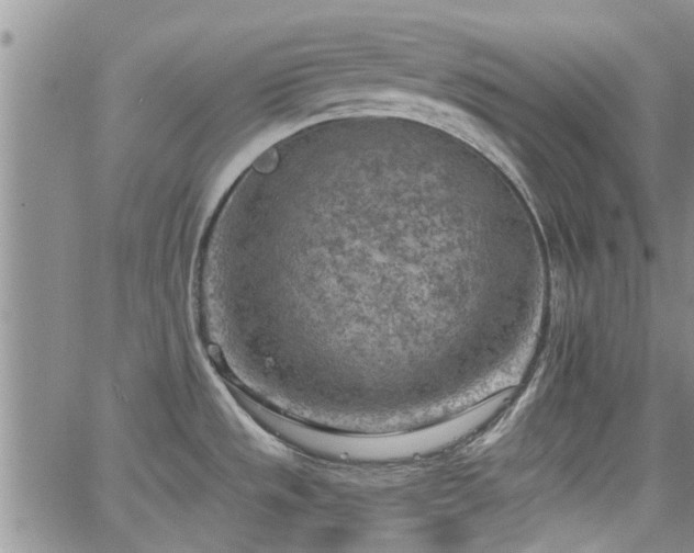 X0000063481533200601231334