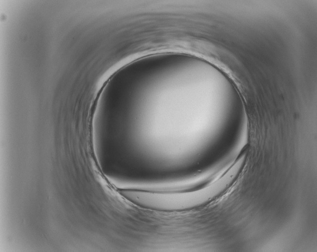 X0000063481534200601231334