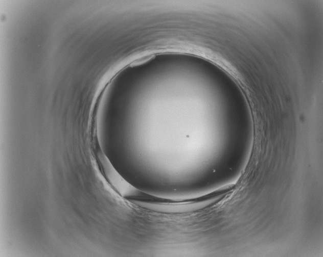 X0000063481536200601231334