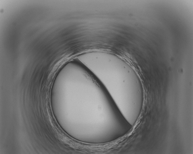 X0000063480001200601271706