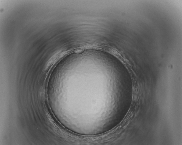 X0000063480002200601271706