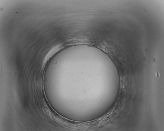 X0000063480004200601271706