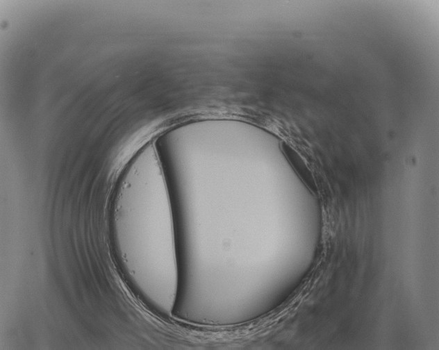 X0000063480005200601271706