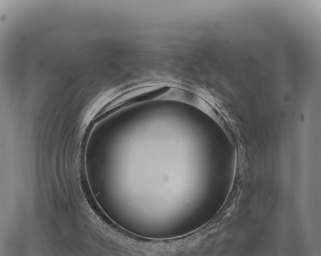 X0000063480007200601271706