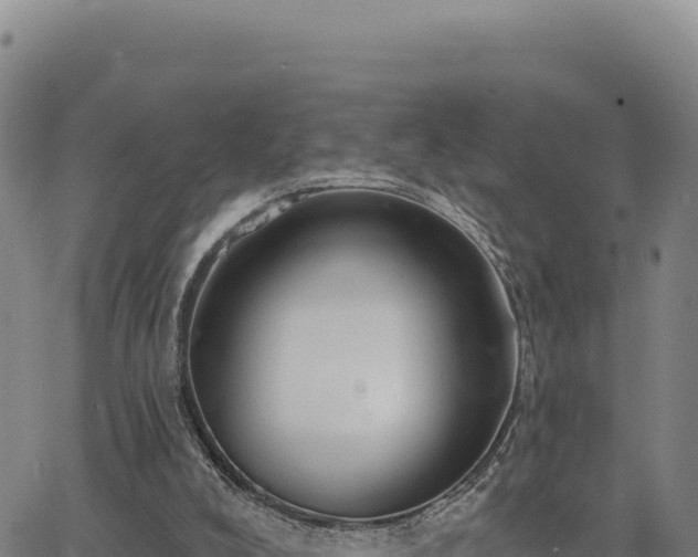 X0000063480008200601271706