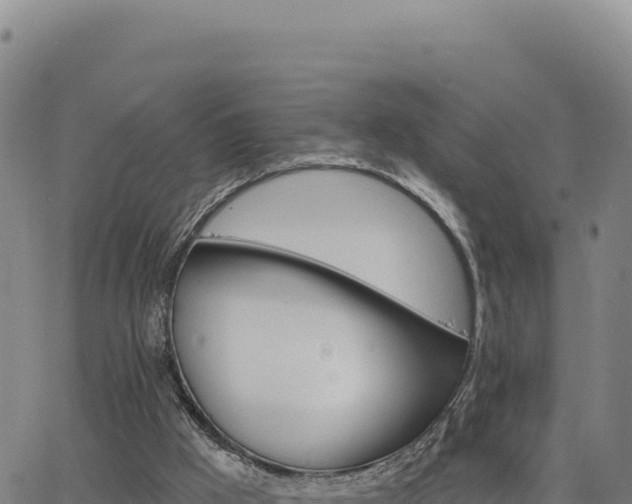 X0000063480009200601271706