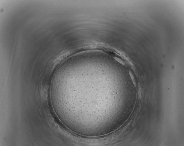 X0000063480010200601271706