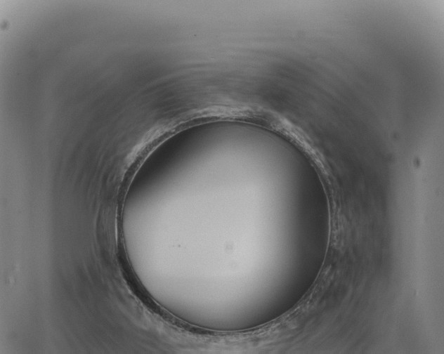 X0000063480011200601271706