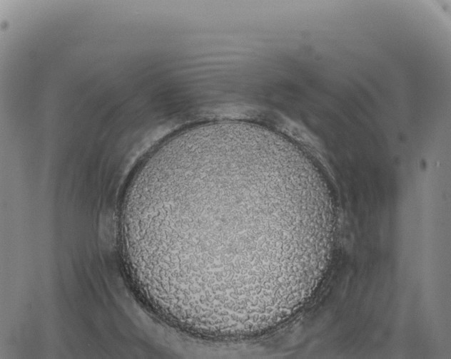 X0000063480012200601271706