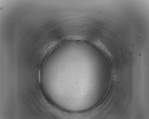 X0000063480014200601271706