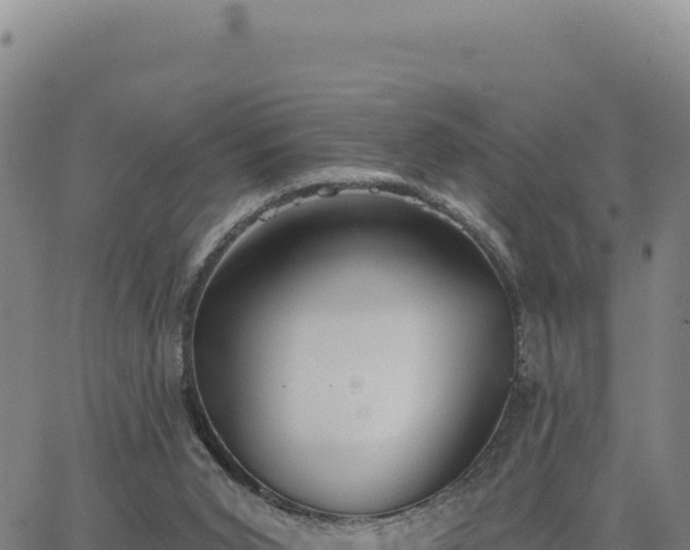 X0000063480015200601271706