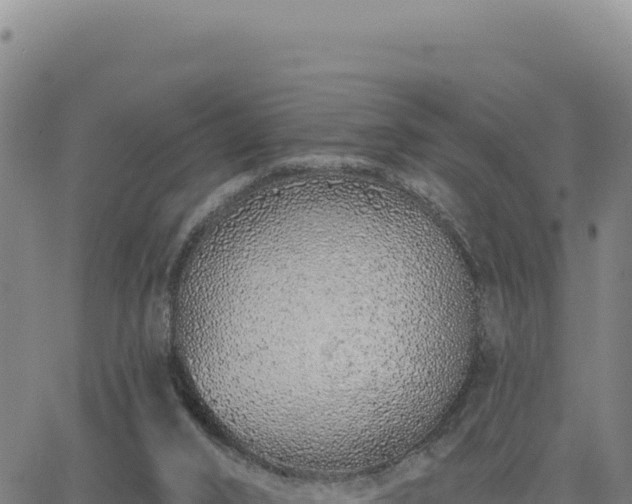 X0000063480016200601271706