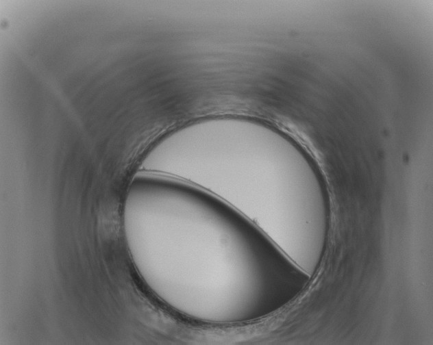 X0000063480017200601271706