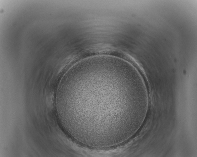 X0000063480018200601271706