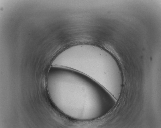 X0000063480021200601271706