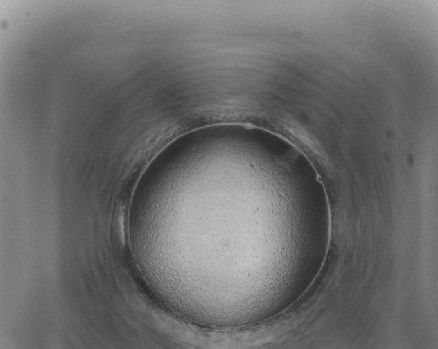 X0000063480022200601271706