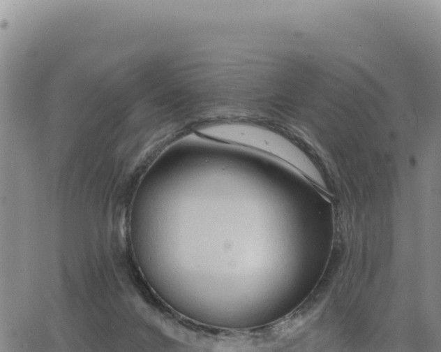 X0000063480024200601271706