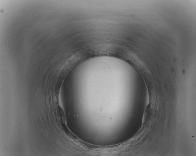 X0000063480025200601271706