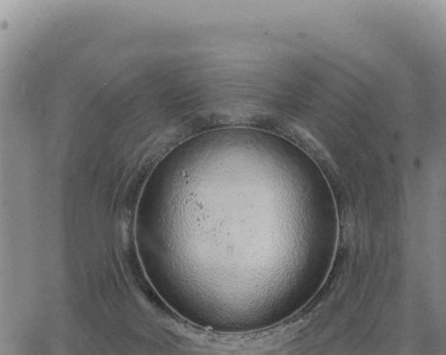 X0000063480026200601271706