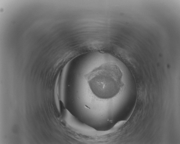 X0000063480027200601271706