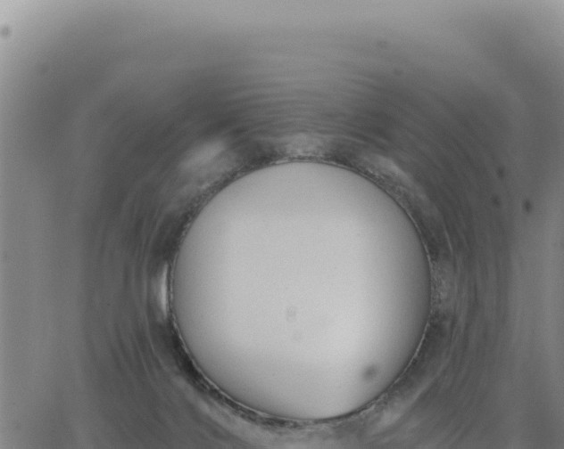 X0000063480028200601271706