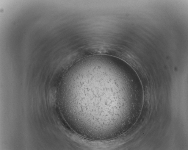 X0000063480030200601271706