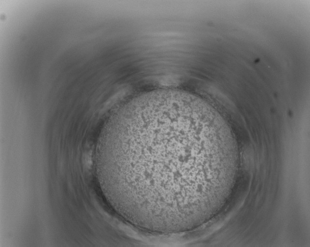 X0000063480032200601271706