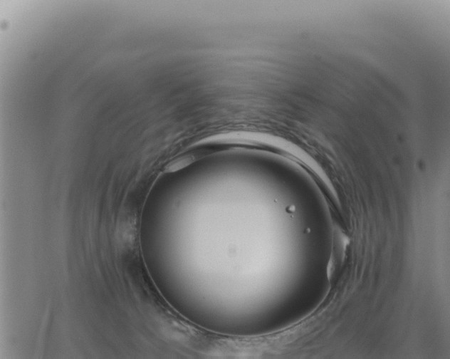 X0000063480033200601271706