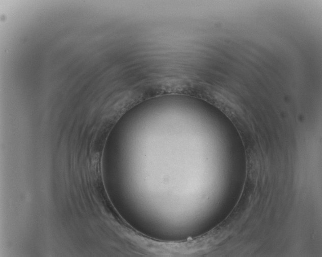 X0000063480034200601271706