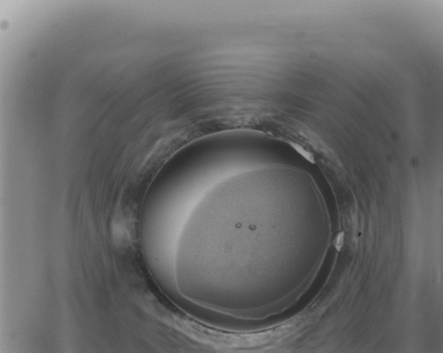 X0000063480035200601271706