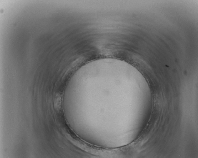 X0000063480036200601271706