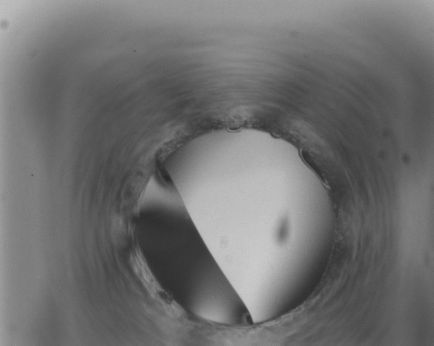 X0000063480037200601271706