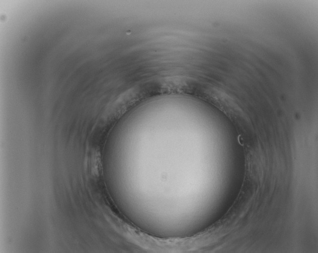 X0000063480038200601271706