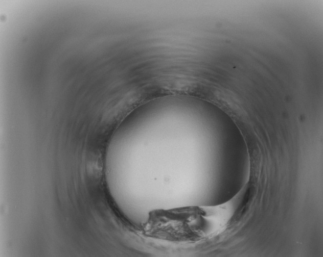 X0000063480040200601271706