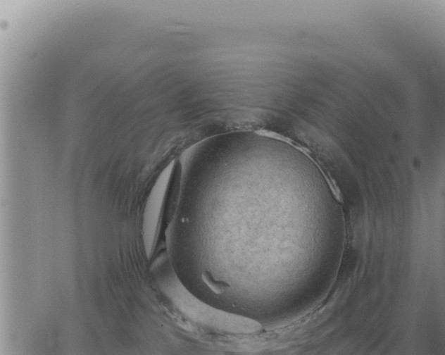 X0000063480041200601271706