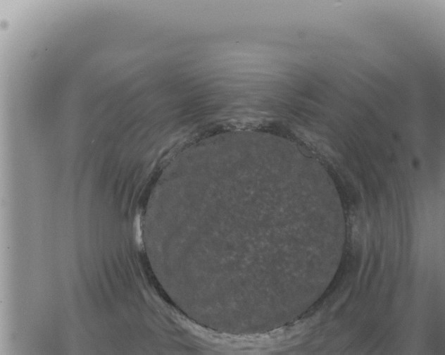 X0000063480042200601271706