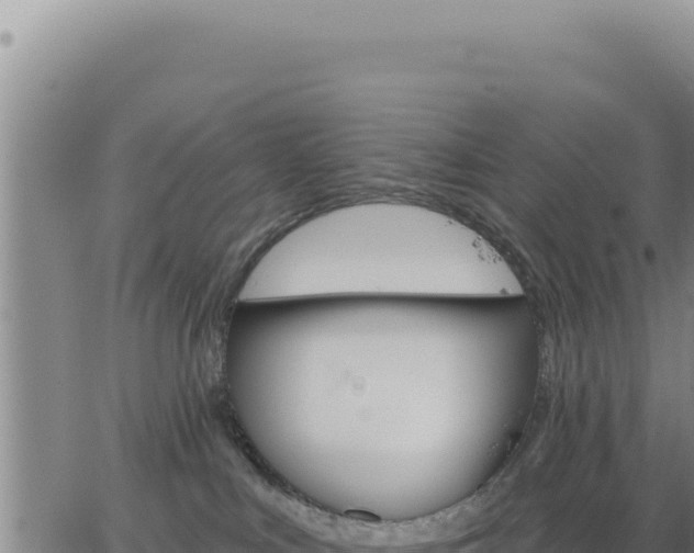 X0000063480043200601271706