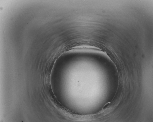 X0000063480044200601271706